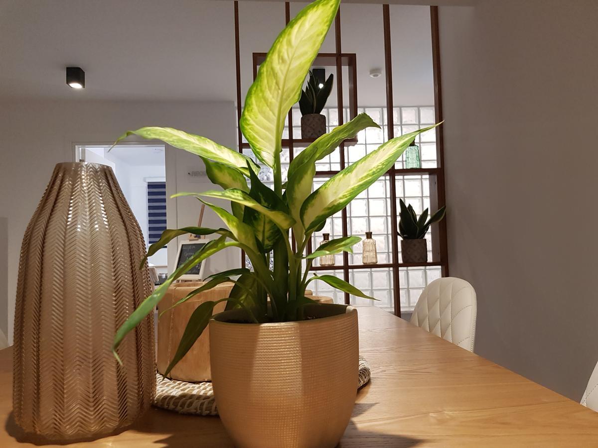 Hypnos Boutique Hotel (Adults Only) Lefkoşa Dış mekan fotoğraf